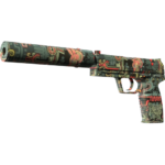 USP-S | Ancient Visions (Factory New)
