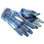 Sport Gloves | Amphibious (Well-Worn)