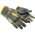 Sport Gloves | Omega (Minimal Wear)
