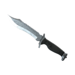 Bowie Knife | Damascus Steel (Factory New)