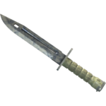 Bayonet | Stained (Well-Worn)