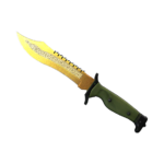 Bowie Knife | Lore (Factory New)