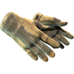 Sport Gloves | Arid (Battle-Scarred)