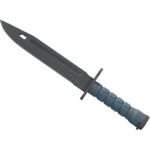 Bayonet | Night (Factory New)