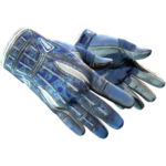 Sport Gloves | Amphibious (Battle-Scarred)