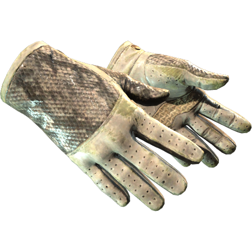 65f8187481146d15be0f8e3fCNtfvPGb05