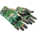Moto Gloves | Turtle (Battle-Scarred)