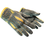 Sport Gloves | Omega (Field-Tested)