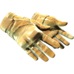 Moto Gloves | Transport (Field-Tested)