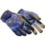 Specialist Gloves | Cloud Chaser (Battle-Scarred)