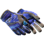 Specialist Gloves | Cloud Chaser (Well-Worn)